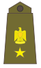 Lieutenant Colonel - Muqqadam Lieutenant Colonel - Muqqadam